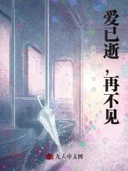 爱已逝，再不见
