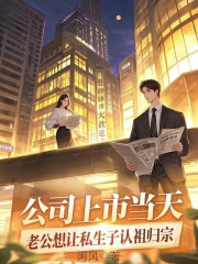公司上市当天，老公想让私生子认祖归宗